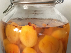 Apricot in infusion
