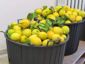 Solo limoni Italiani e Biologici