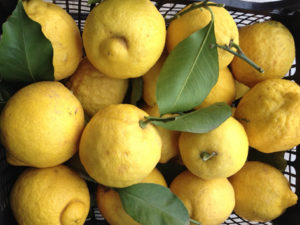 Limoni per infusione