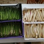 Liquore Agli Asparagi