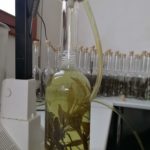 Imbottigliamento