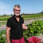 Basilico di Barena