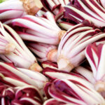 Radicchio Tardivo Treviso